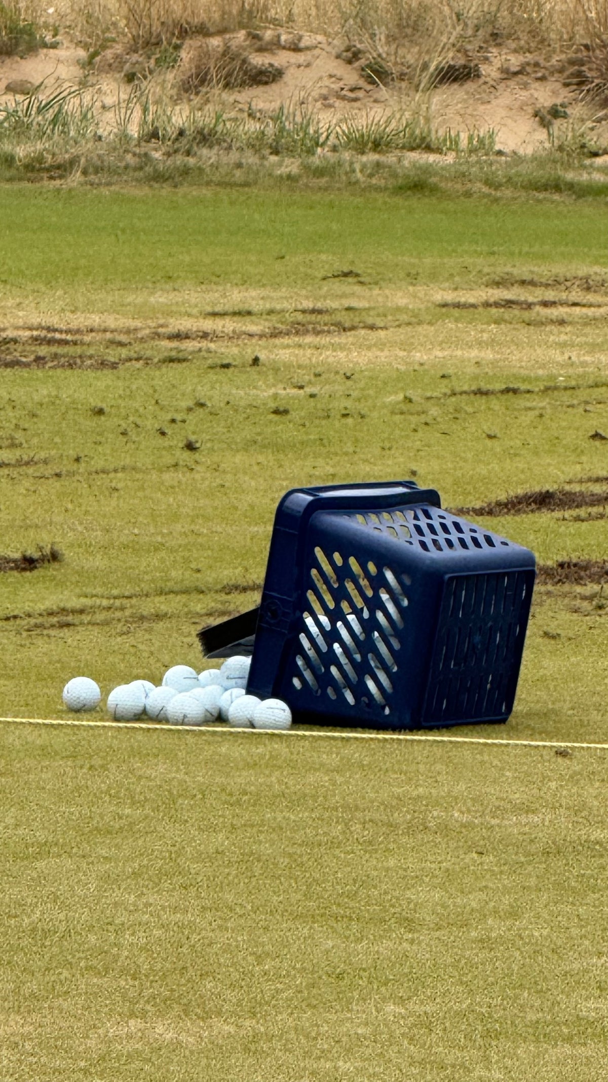 A blue plastic golf ball carrier basket tipped over on a grassy driving range, with several white golf balls spilled out beside it.